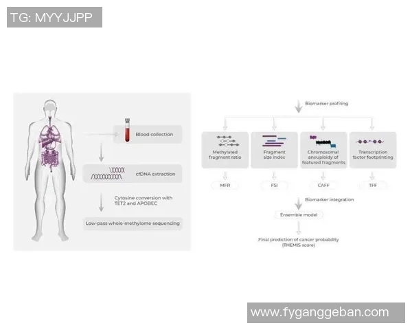 上海排球队团队协作表现的数据分析与提升策略探讨 上海排球队团队协作表现的数据分析与提升策略探讨