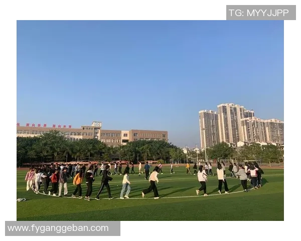 从零起步掌握足球战术的全面指南与实战技巧解析