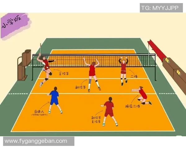 北京排球队区域防守革新探索与实践的深度分析与展望