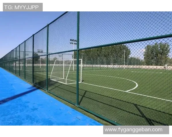 幼儿足球的多重价值探讨促进身心发展与社交能力提升