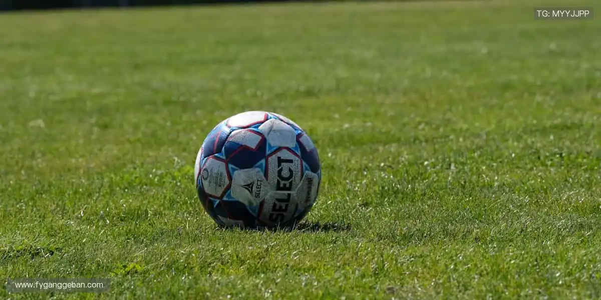 🎯 球星同款，即刻拥有！体育周边商城，解锁你的专属热爱！