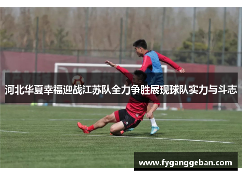 河北华夏幸福迎战江苏队全力争胜展现球队实力与斗志